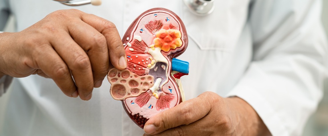 Направления